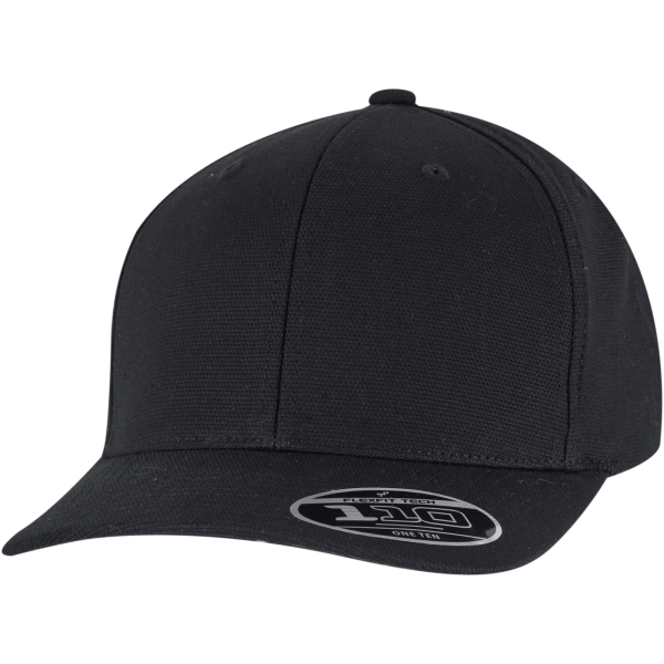 Flexfit 110 Curved Snapback