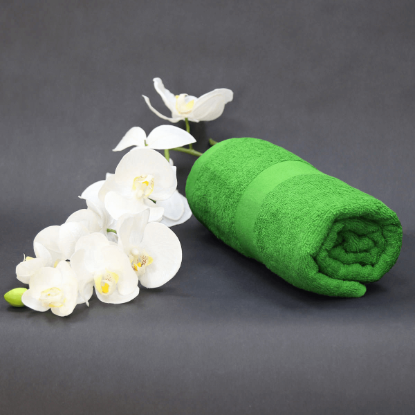 TEXXILLA Badetuch – BASIC LINE