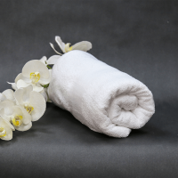 TEXXILLA Terry Towel BASIC LINE – bath towel TEXXILLA Terry Towel BASIC LINE – bath towel